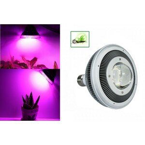 LED grow light na rostliny 40W