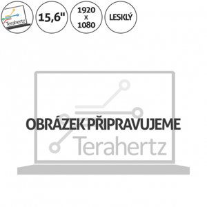 Sony Vaio PCG-71212L displej