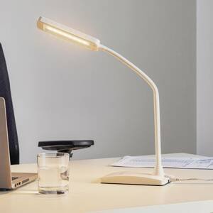 Maul LED stolní lampa MAULpearly, CCT stmívatelná bílá