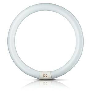 Philips G10q 32W 830 světelný kruh Master Circular TL-E