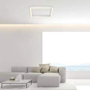 PURE Paul Neuhaus Pure-Lines LED stropní čtverec hliník