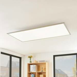 Lindby Lindby Stenley LED panel, 4 000 K, 119 cm x 59 cm