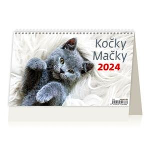 Stolní kalendář 2024 Kočky