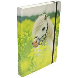 Donau Box na spisy - A4, 4 cm, pony