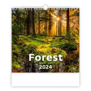 Nástěnný kalendář 2023 Forest/Wald/Les