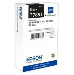 Cartridge Epson C13T789140 - černý XXL