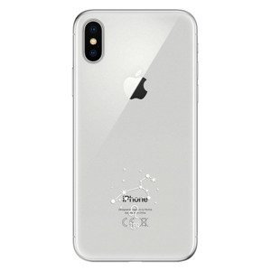 Odolné silikonové pouzdro iSaprio - čiré - Lev - iPhone X
