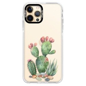 Silikonové pouzdro Bumper iSaprio - Cacti 01 - iPhone 12 Pro Max