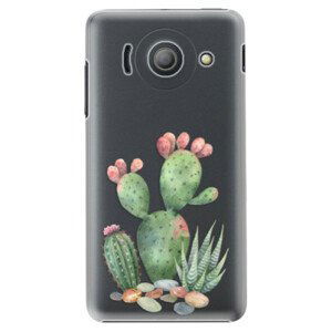 Plastové pouzdro iSaprio - Cacti 01 - Huawei Ascend Y300