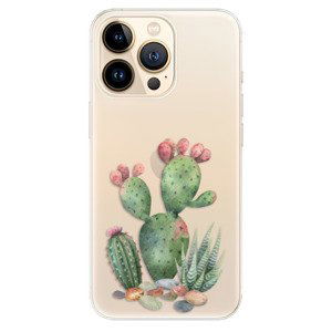 Odolné silikonové pouzdro iSaprio - Cacti 01 - iPhone 13 Pro Max
