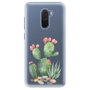 Plastové pouzdro iSaprio - Cacti 01 - Xiaomi Pocophone F1