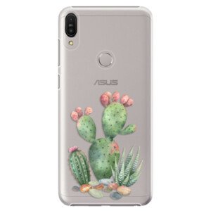 Plastové pouzdro iSaprio - Cacti 01 - Asus Zenfone Max Pro ZB602KL