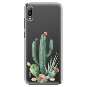 Plastové pouzdro iSaprio - Cacti 02 - Huawei Y6 2019