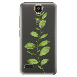 Plastové pouzdro iSaprio - Green Plant 01 - Huawei Ascend Y5