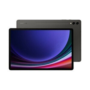 Samsung Galaxy Tab S9 Ultra (SM-X910) 16GB/1TB černá