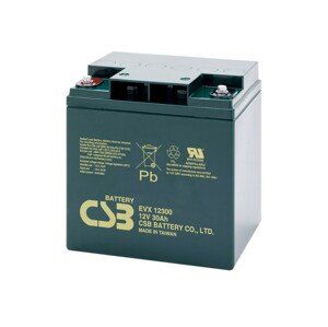 CSB 12V 30Ah EVX12300