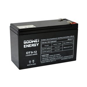 Goowei Energy OT9-12 F2 12V 9Ah APC RBC17