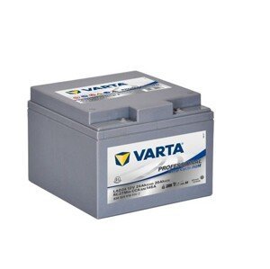 Varta Professional 12V 24Ah 160A 830 024 016