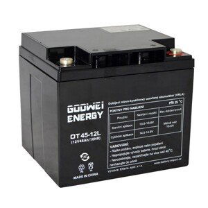 GOOWEI ENERGY OTL45-12 45Ah 12V