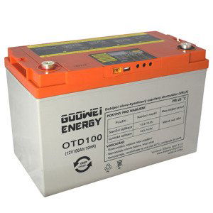 GOOWEI ENERGY OTD100 100Ah 12V