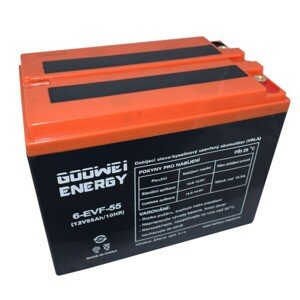 GOOWEI ENERGY 6-EVF-55 55Ah 12V