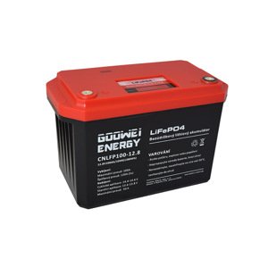 GOOWEI ENERGY CNLFP100-12.8 100Ah 12.8V