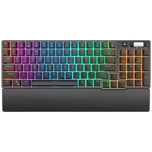 Klávesnice Royal Kludge RK96 RGB wireless mechanical keyboard, Brown switch (black)