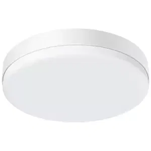 LED ceiling lamp BlitzWolf BW-LT38 with remote control, 24W