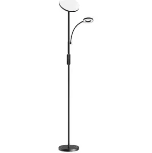 BlitzWill BWL-FL-0001 Double Floor Lamp  with remote 36W (black) (5905316141469)