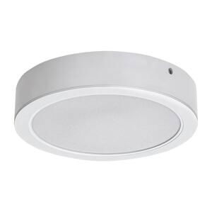 Rabalux Rabalux 71194 - LED Stropní svítidlo SHAUN LED/24W/230V pr. 22 cm bílá