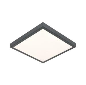 LED Stropní svítidlo VITALI LED/24W/230V