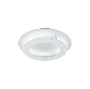 LED Stropní svítidlo MERLE LED/18W/230V