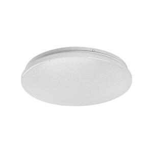 Rabalux Rabalux 71104 - LED Stropní svítidlo VENDEL LED/12W/230V 4000K 25 cm