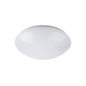 Rabalux Rabalux 3436 - LED stropní svítidlo LUCAS LED/24W/230V