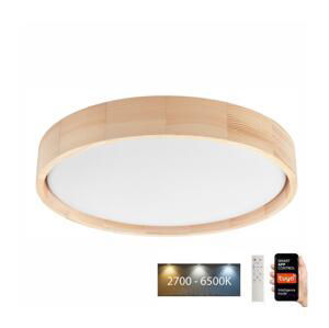 BRILAGI Brilagi - LED Stropní svítidlo MANAROLA SMART LED/24W/230V + DO Tuya