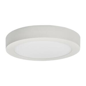 Greenlux LED Stropní svítidlo FENIX LED/24W/230V 2800K pr. 29,8 cm