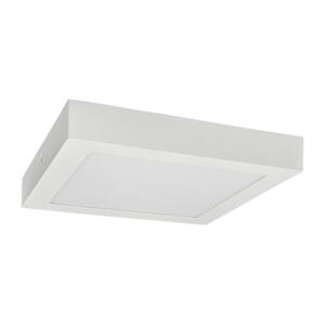 Greenlux LED Stropní svítidlo FENIX LED/24W/230V 2800K 29,8 cm