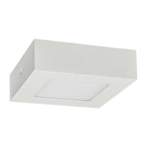 Greenlux LED Stropní svítidlo FENIX LED/6W/230V 2800K 12 cm