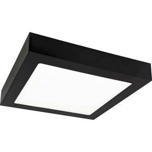 Greenlux LED Stropní svítidlo FENIX LED/18W/230V 2800K 22,5 cm