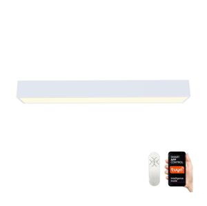 Neo  NEO 07072-90-LED Stmívatelné stropní svítidlo CANTO 50W/230V bílá Tuya +DO