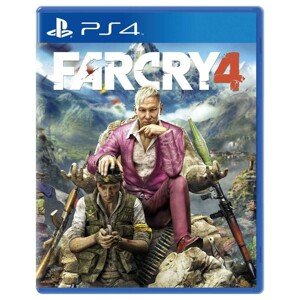 Far Cry 4 (PS4)