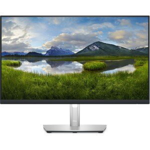 Dell Professional P2423D monitor 23.8"
