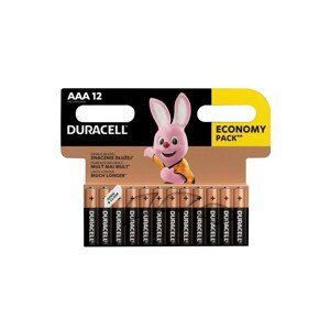 Duracell Basic AAA alkalická baterie, 12 ks