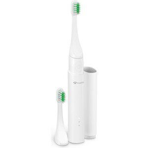 TrueLife SonicBrush T100