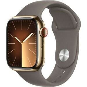 Apple Watch Series 9 Cellular 41mm Zlatá ocel s jílově šedým sportovním řemínkem M/L