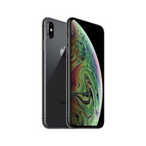 Apple iPhone XS Max 256GB vesmírně šedý