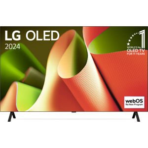 Lg Oled televize Oled55b42la