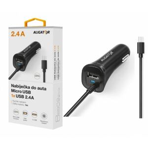 nabíječka pro mobil Ali An 2,4A, Usb-c+1xusb,černá Cha0026