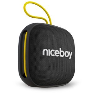 Niceboy bezdrátový reproduktor Raze Mini 4