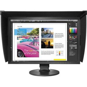 Eizo Lcd monitor Cg2420